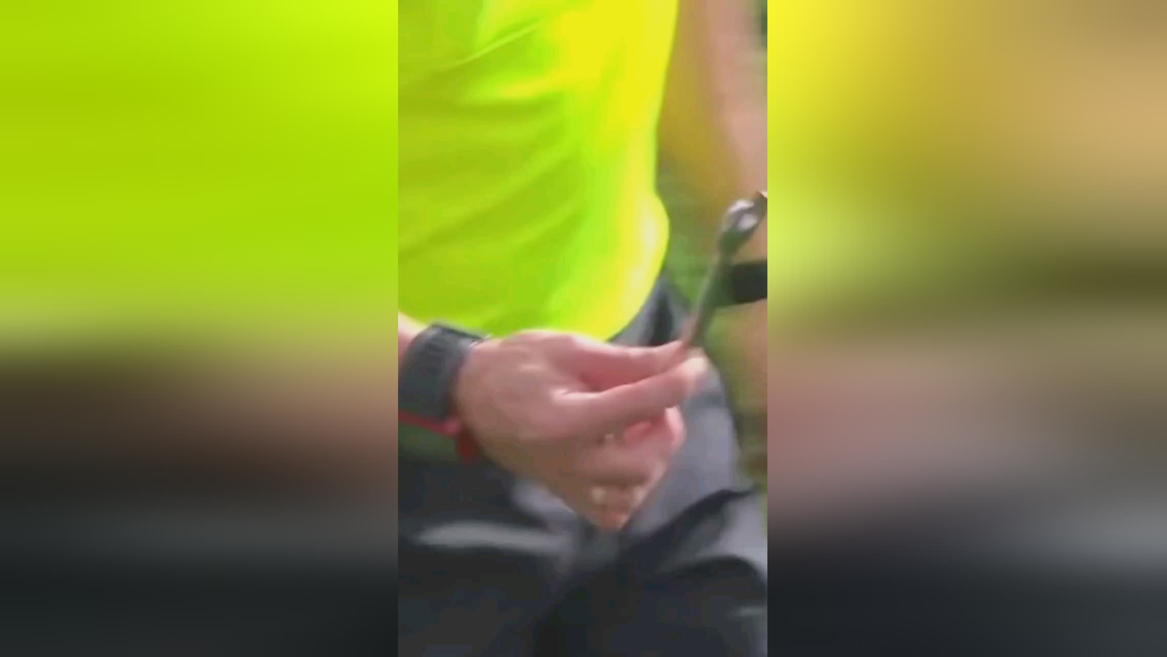 队贡献了近
