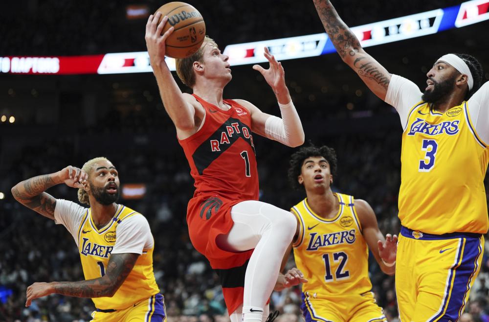 做一个完整 做一个完整